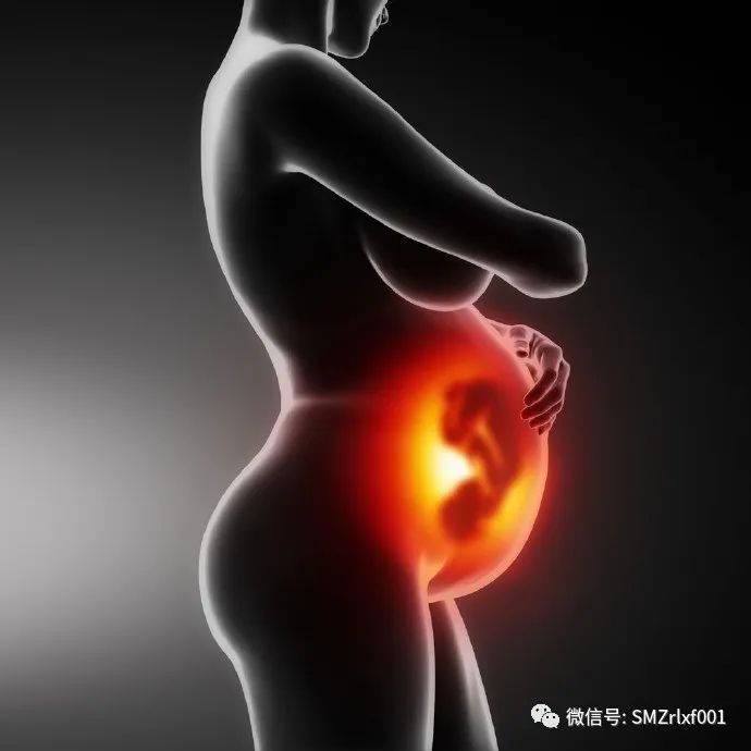 佛法真谛（之四）解密生命的内核 [ 甚深佛法（69）]插图8