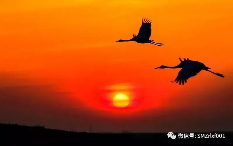 佛法真谛（之八）试论 ‘ 道法自然 ’  [ 甚深佛法（73）]插图13