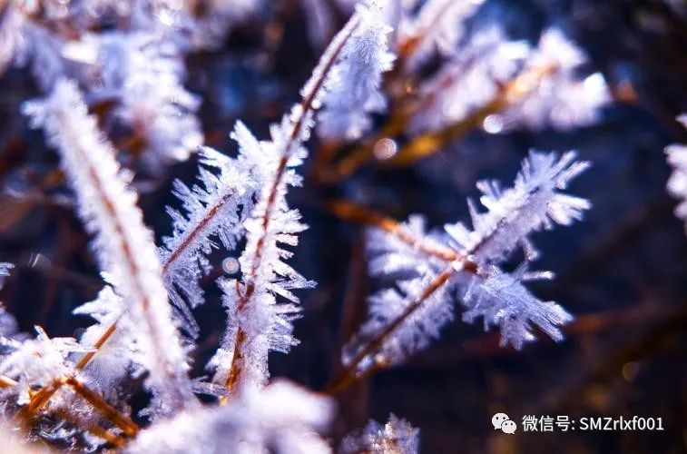 佛法真谛（ 十二 ）证道了是什么样子？[ 甚深佛法（77）]插图22