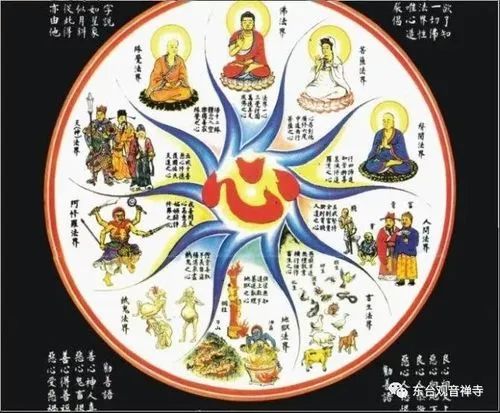 今生做狗为何因 ？[ 因果报应你怨谁 ]插图11