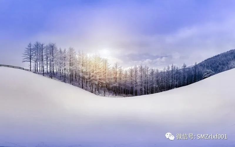 好人必有好报 ：一个真实的故事插图21
