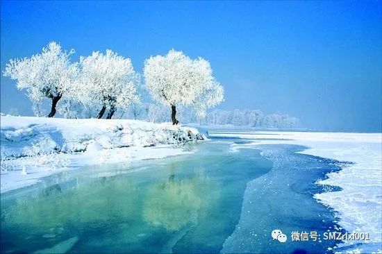 佛法真谛（ 十二 ）证道了是什么样子？[ 甚深佛法（77）]插图19
