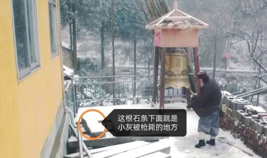 今生做狗为何因 ？[ 因果报应你怨谁 ]插图10