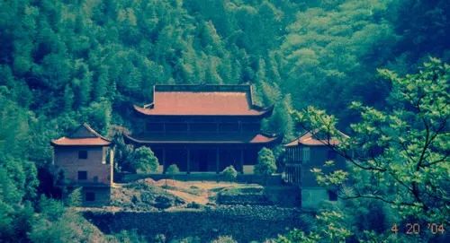 今生做狗为何因 ？[ 因果报应你怨谁 ]插图1