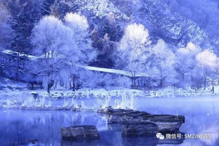 好人必有好报 ：一个真实的故事插图7