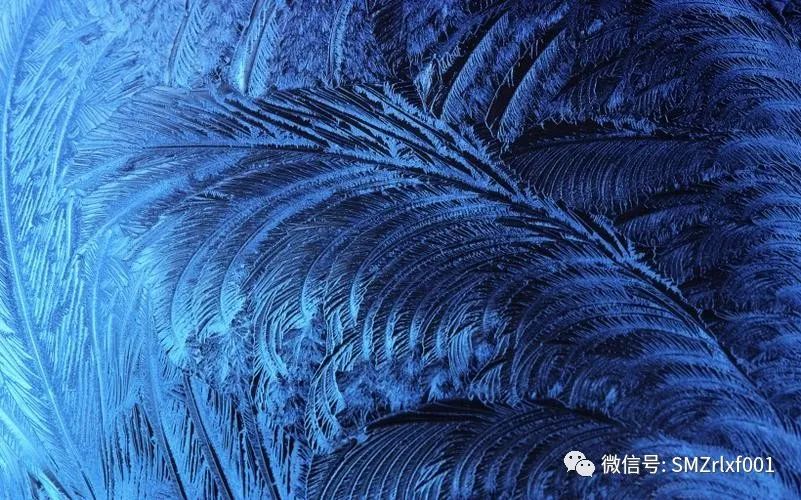 佛法真谛（ 十二 ）证道了是什么样子？[ 甚深佛法（77）]插图23