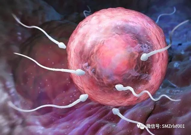 佛法真谛（十六）三生万物的 ‘ 三 ’，其实就是你自己 [ 甚深佛法 （ 81 ）]插图8
