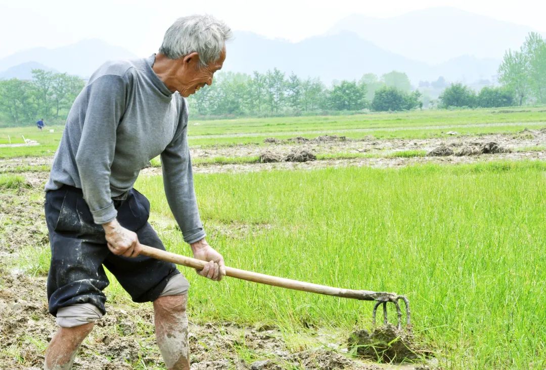 佛法真谛（ 十七 ）何谓 ‘ 日用而不识 ’ [ 甚深佛法（ 82 ）]插图6