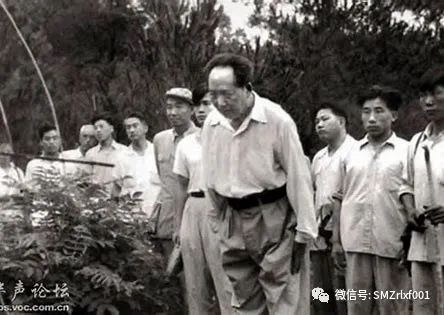 佛法真谛（ 二十二 ）相由心生！毛泽东相貌如佛！[ 甚深佛法 （87）]插图7