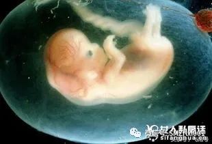 佛法真谛（十六）三生万物的 ‘ 三 ’，其实就是你自己 [ 甚深佛法 （ 81 ）]插图9