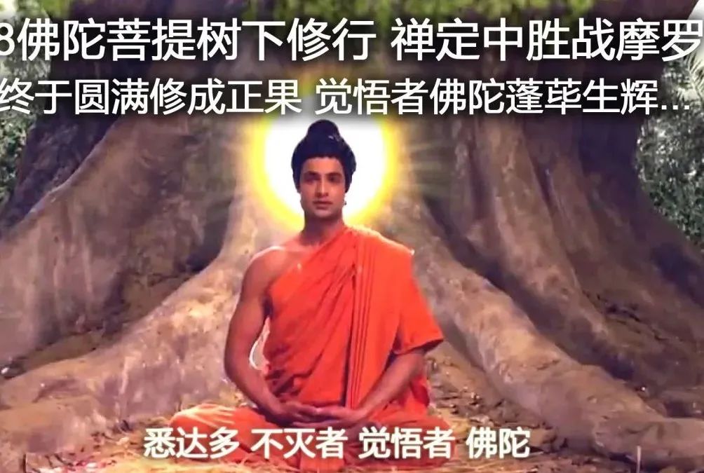 佛法真谛（ 二十 ）何谓 ‘ 五盖 ’ ？[ 甚深佛法 (85) ]插图24