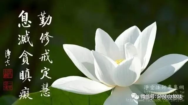 佛法真谛（ 二十五 ）如何不沉沦？[ 甚深佛法（90）]插图11