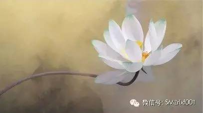 佛法真谛（ 二十四 ）菩萨摩诃萨的大慧光明 [ 甚深佛法（89）]插图2