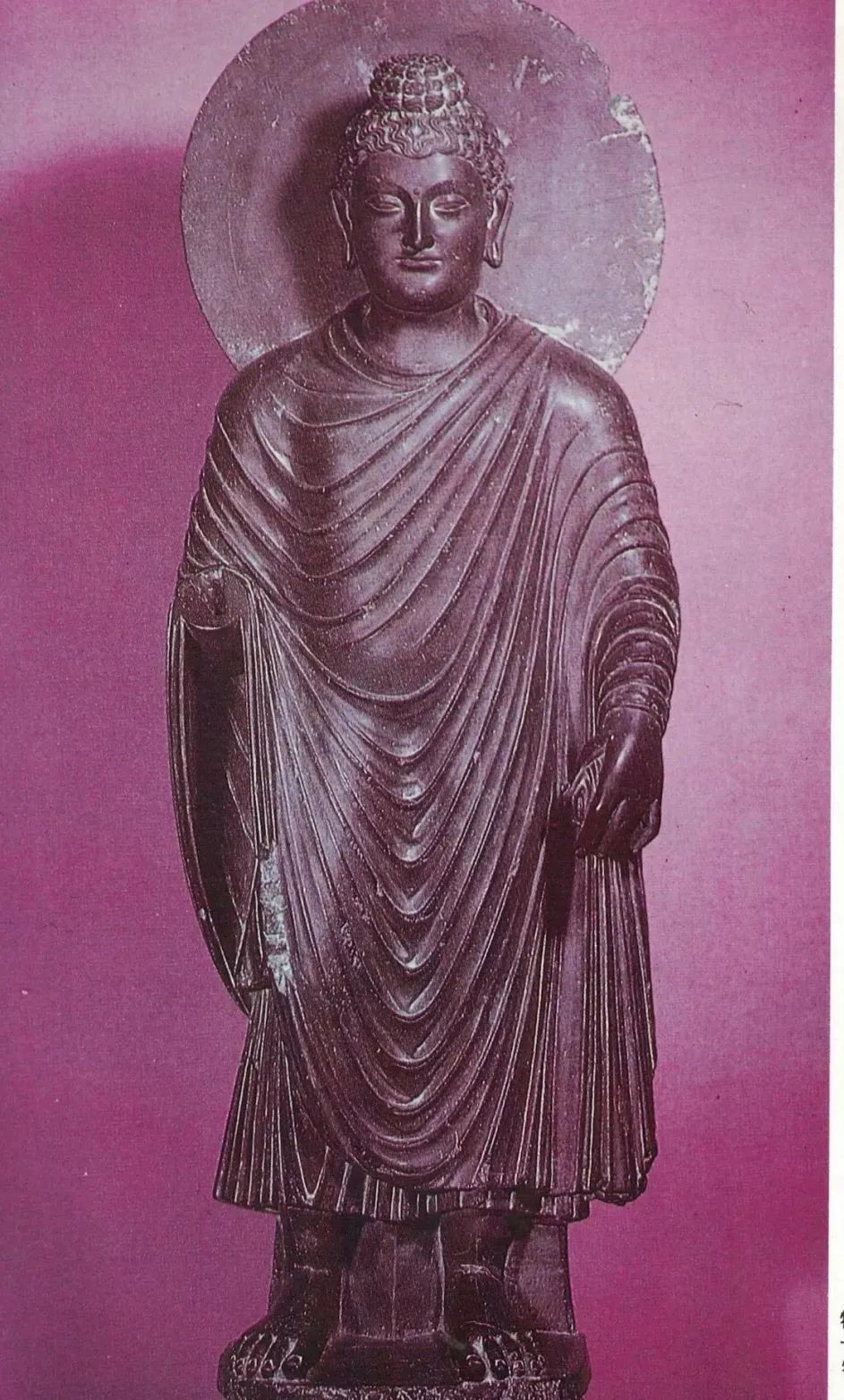 佛法真谛（ 二十七 ）解读《楞严经》中，四种清净明诲 ( 之二 ） [ 如不断杀，必落神道 ！] [ 甚深佛法（92）]插图3
