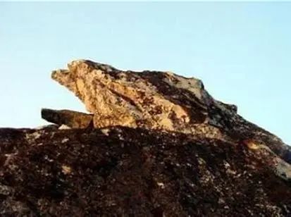 佛法真谛（ 二十四 ）菩萨摩诃萨的大慧光明 [ 甚深佛法（89）]插图14