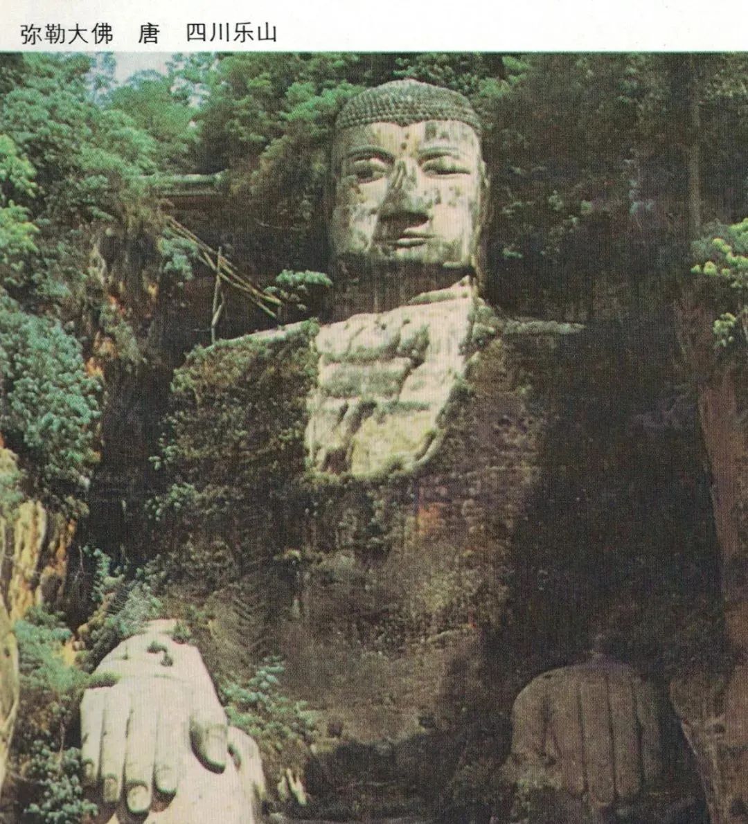 佛法真谛（ 二十七 ）解读《楞严经》中，四种清净明诲 ( 之二 ） [ 如不断杀，必落神道 ！] [ 甚深佛法（92）]插图6