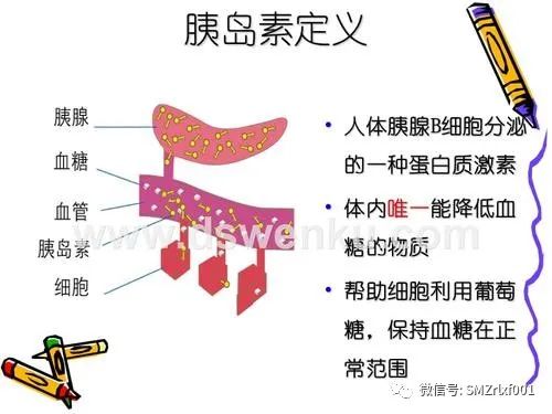 正确认识糖尿病：[ 糖尿病不是病 ]插图4
