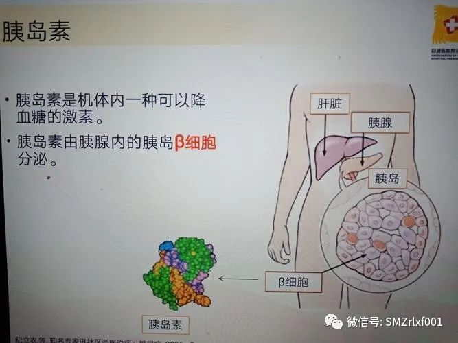 正确认识糖尿病：[ 糖尿病不是病 ]插图5