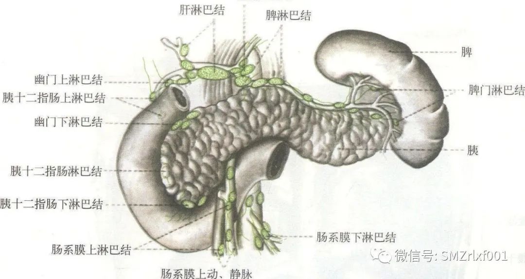 正确认识糖尿病：[ 糖尿病不是病 ]插图10